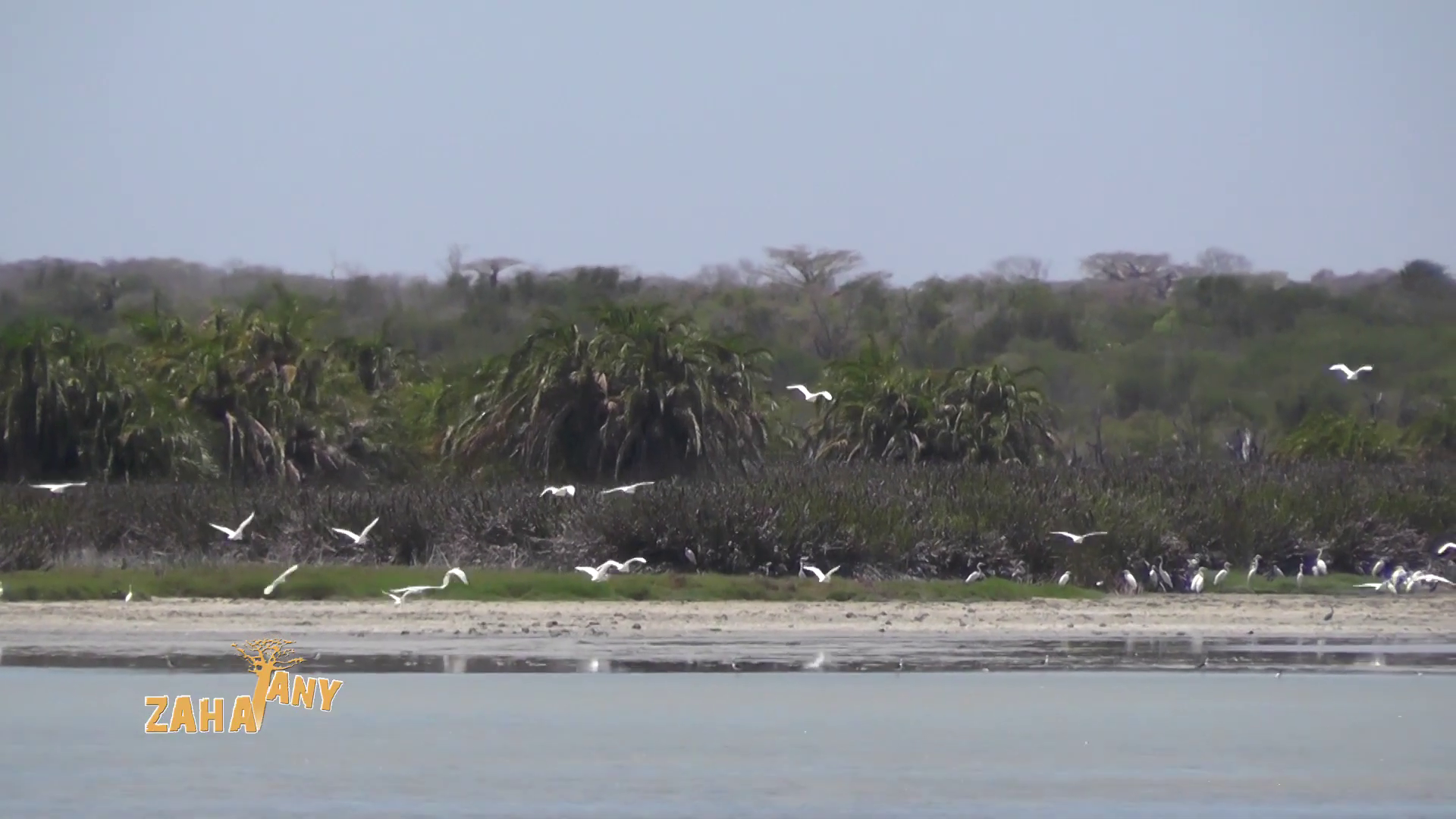 Image actualité Belo sur Mer